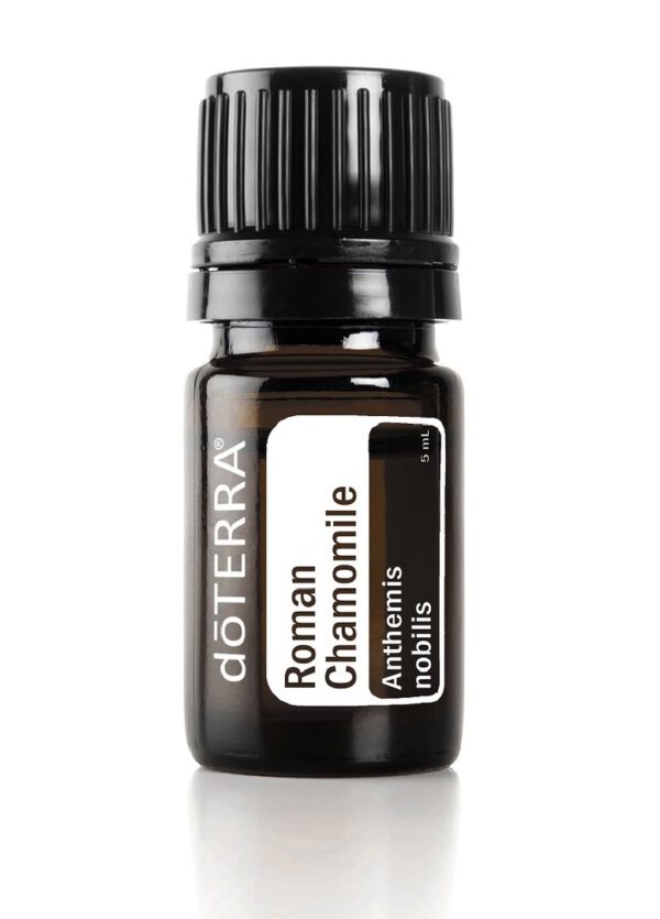 doTERRA Romeinse Kamille essentiële olie -Roman Chamomille, 5 ml (Anthemis nobilis)