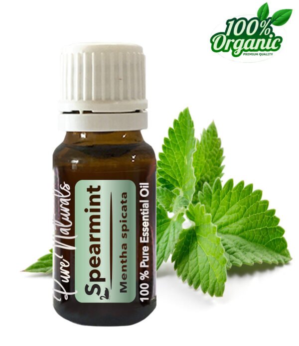 Pure Naturals – Spearmint (Kruizemunt) – 10 ml